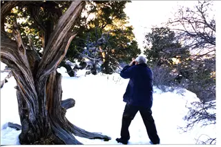 small_Jack Walker, 1990s.webp